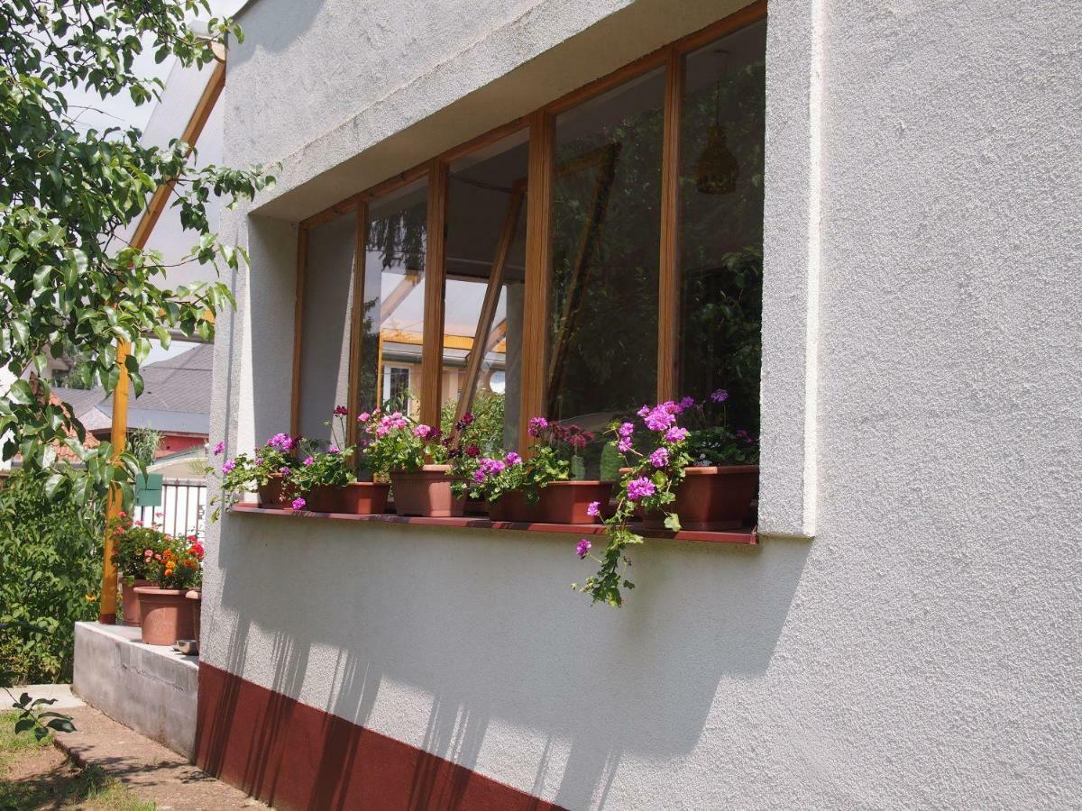 Deel Apartman Nyíregyháza Екстериор снимка